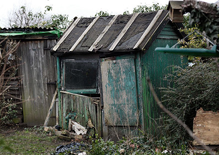 shed removal